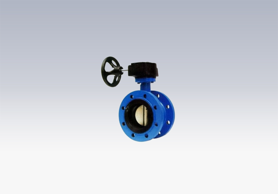 Worm Flange Butterfly Valve